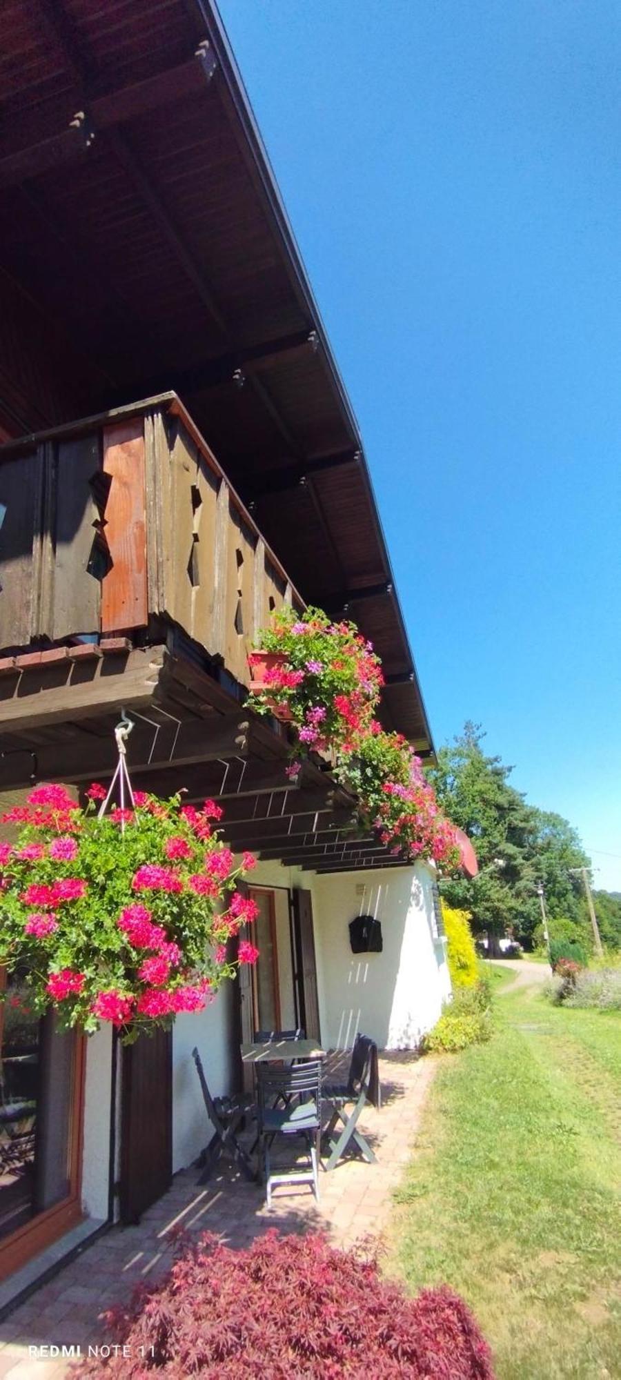 Chalet Au Bois Des Ecureuils Classe Trois Etoiles. 穆巴赫索蒙斯特 外观 照片