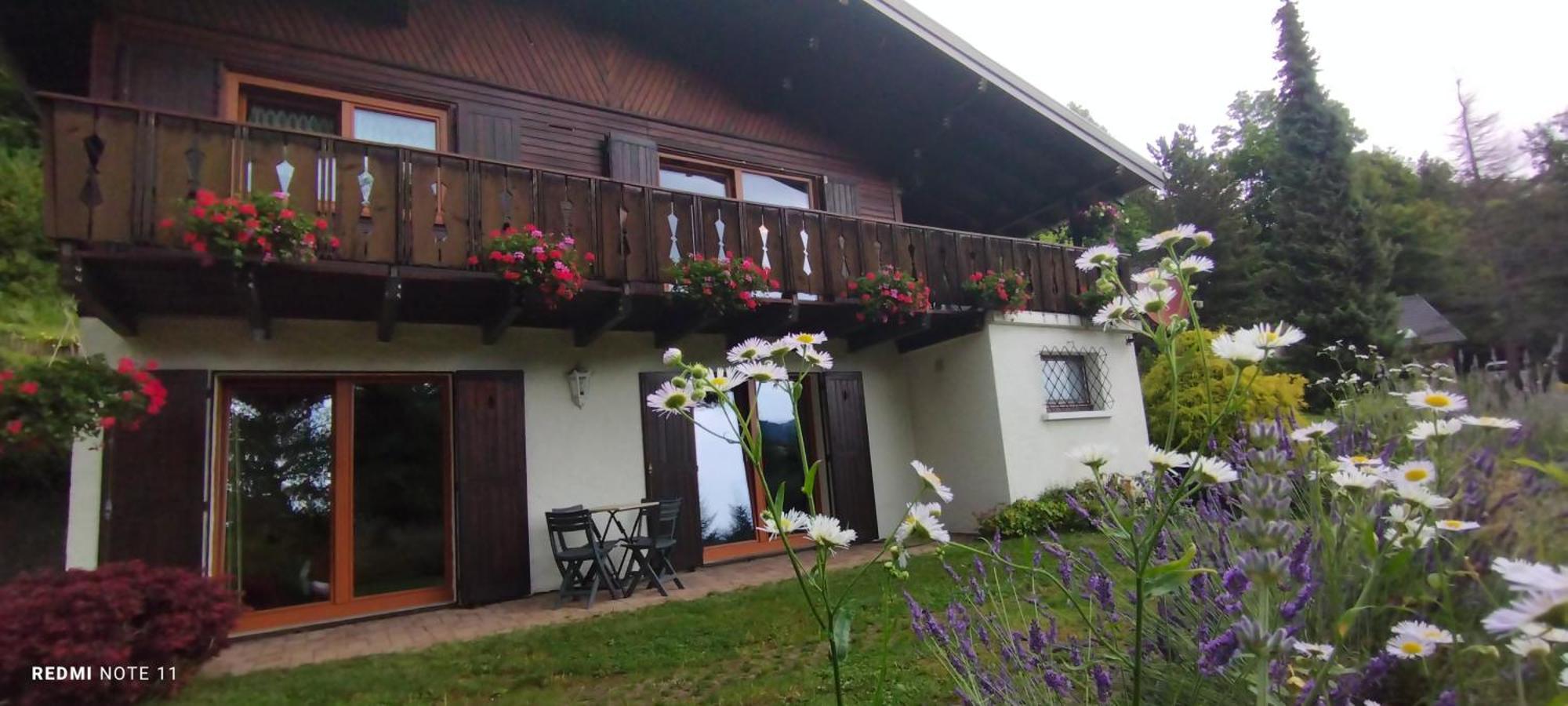 Chalet Au Bois Des Ecureuils Classe Trois Etoiles. 穆巴赫索蒙斯特 外观 照片